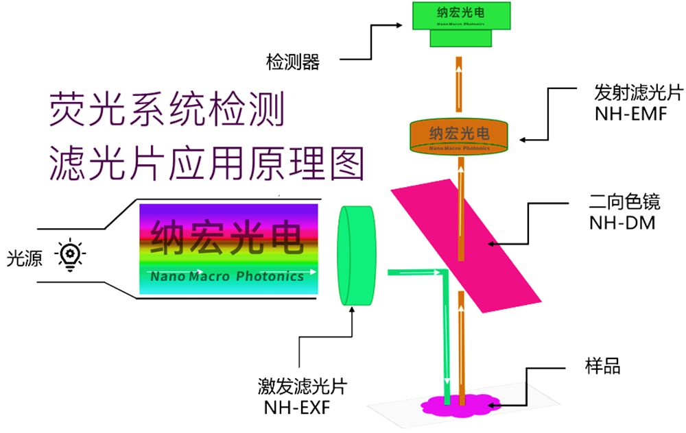 熒光顯微鏡濾光片原理 熒光顯微鏡濾光片原理